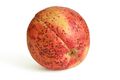 Guava fruit