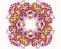 Isopentenyl-diphosphate delta isomerase