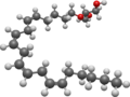 3D model of 2-Arachidonyl glyceryl ether