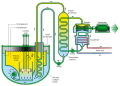 Sodium-Cooled Fast Reactor Schemata