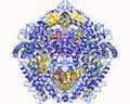 Protein kinase A structure