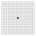 Amsler grid on white background