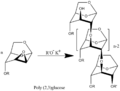 2,3-Polymer structure
