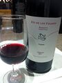 Tannat vineyard in Uruguay