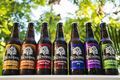 7 of the 8 Beers