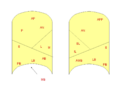 Detailed view of bronchopulmonary segments