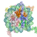 Gene expression