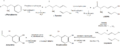 Conversion of phenylalanine and tyrosine to its biologically important derivatives