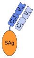 Fab-superantigen fusion protein