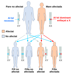 X dominant affected mother