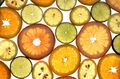 Various citrus fruits
