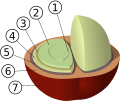 Coffee production
