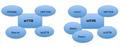 MTOR_inhibitors