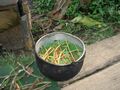 Ayahuasca preparation