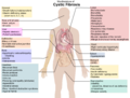 Cystic fibrosis manifestations