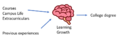 Learning and cognitive processes