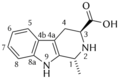 Chemical structure of (1R, 3S)-1-methyltetrahydro-carboline-3-carboxylic acid
