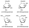 D-Altrose Haworth projection