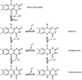 Flavin_adenine_dinucleotide