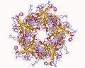 Structure of a viral protein