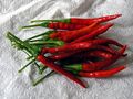 Chiles de árbol