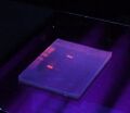 Agarose gel under UV light