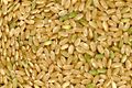 Brown rice