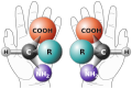 Chirality with hands