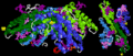 R-phycoerythrin part 1