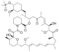 MTOR_inhibitors