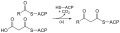 Fatty_acid_synthesis