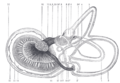 Thumbnail for version as of 17:28, 18 May 2026