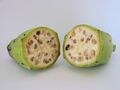 Fruits of wild-type bananas have many large, hard seeds.
