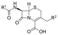 Discovery and development of cephalosporins