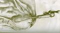 Obstetrical forceps, by William Smellie (1792)