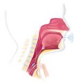Voice prosthesis device