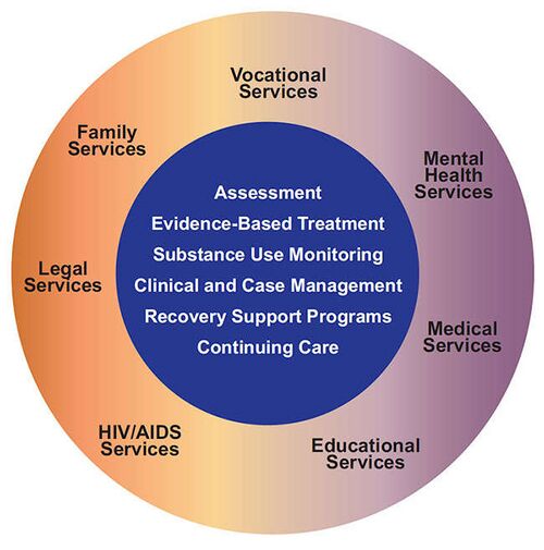 Comprehensive_Drug_Use_Treatment