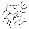 Structure of a branched polymer