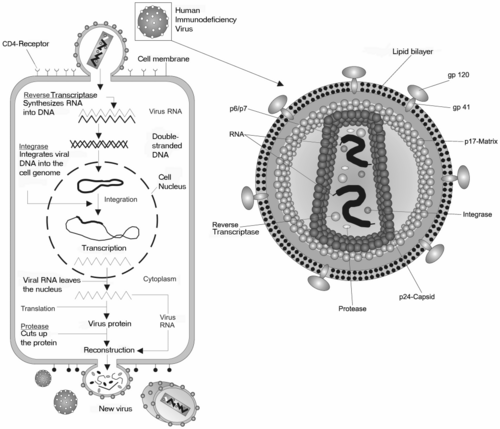HIV