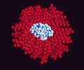 Biological aspects of fluorine