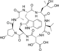 Phallacidin