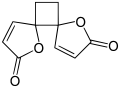 Anemonin structure