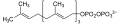 Geranylgeranyl pyrophosphate