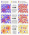 Herd immunity illustration