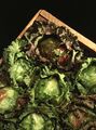 Iceberg lettuce, known for its crisp texture and mild flavor.