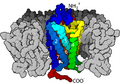 Lipid bilayer