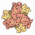 Superoxide dismutase