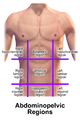 Abdominopelvic Regions