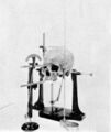 Craniometry skull from 1902