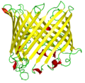 Sucrose Porin